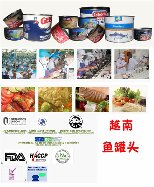 越南魚(yú)罐頭