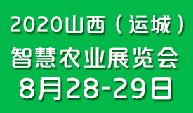 2020山西（運城）智慧...